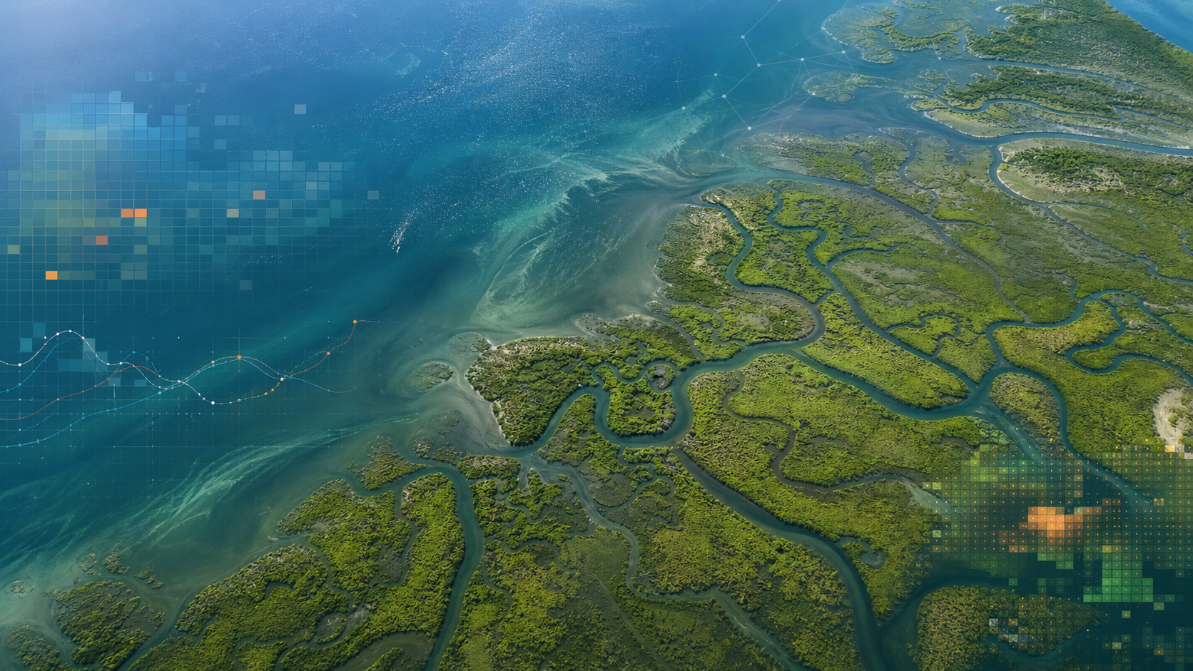 Dense satellite monitoring of tidal wetland dynamics.