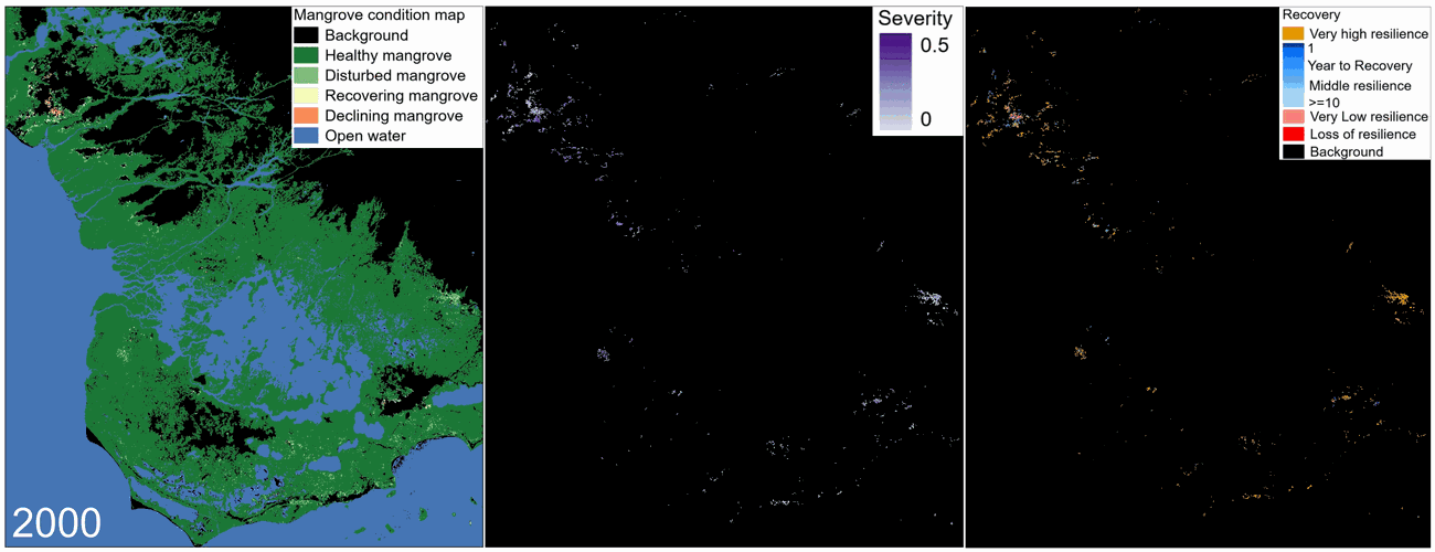 Animated resilience and recovery analysis from satellite time series.